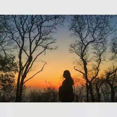 澳门一码一肖一特一中下载手机版