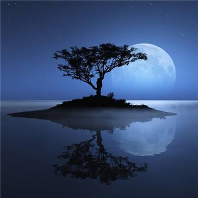 三张牌下载金花免费下载手机版