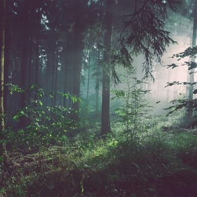 开元·app下载手机版截图